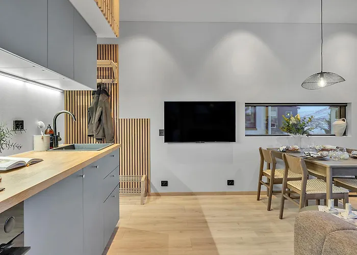 아파트 Brand New Mini Close To Center 트롬쇠